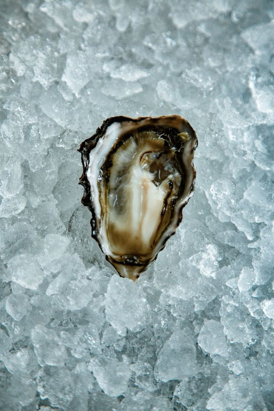Oysters and Zinc: The Most Bioavailable Source